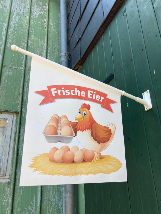Hansecottage